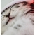 Poszewka świąteczna - świąteczny kotek